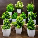 artificial plant (set of 10) home decoration , bathroom decoration, office decoration, marrige decoration, your balcony decoration etc...